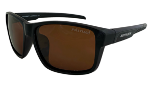 HP308 Black with Brown lens